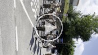 IMG_5555
